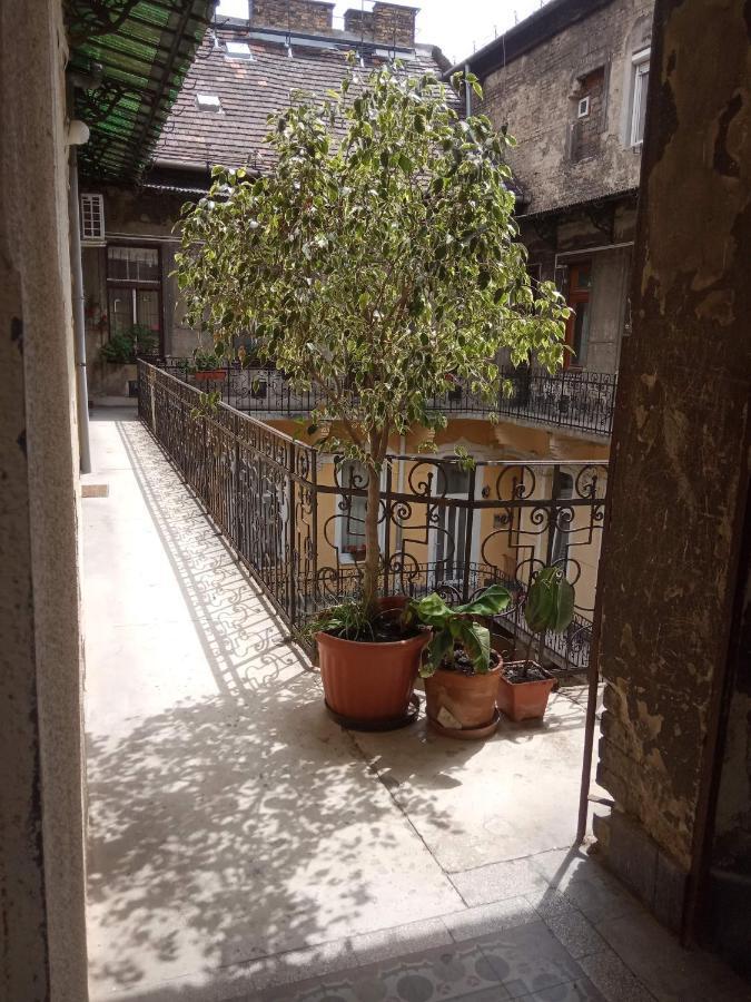 Jolie Apartment In Historical Center Budapest Kültér fotó